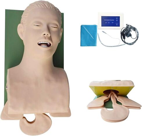 نموذج دراسة تدريب رأس التنبيب لمدرب إدارة مجرى الهواء، محاكاة تدريب إدارة مجرى الهواء 110-220 فولت in Kuwait