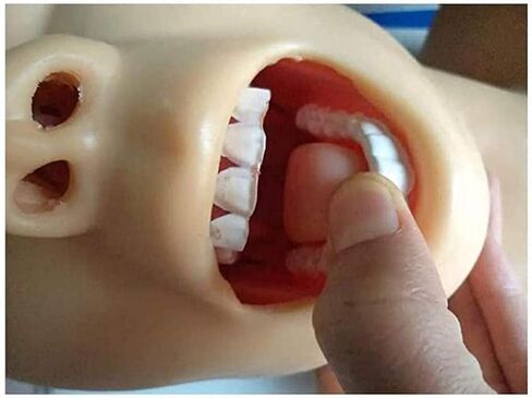 نموذج دراسة تدريب رأس التنبيب لمدرب إدارة مجرى الهواء، محاكاة تدريب إدارة مجرى الهواء 110-220 فولت in Kuwait