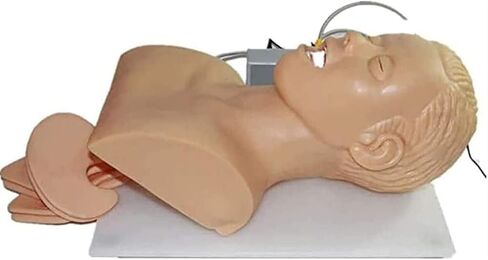 نموذج دراسة تدريب رأس التنبيب لمدرب إدارة مجرى الهواء، محاكاة تدريب إدارة مجرى الهواء 110-220 فولت in Kuwait