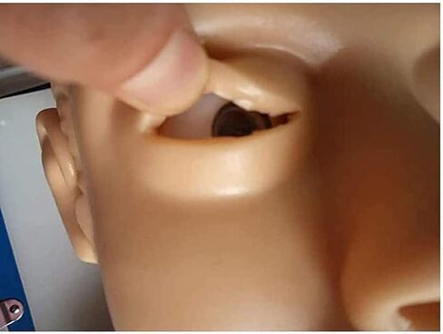 نموذج دراسة تدريب رأس التنبيب لمدرب إدارة مجرى الهواء، محاكاة تدريب إدارة مجرى الهواء 110-220 فولت in Kuwait