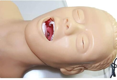 نموذج دراسة تدريب رأس التنبيب لمدرب إدارة مجرى الهواء، محاكاة تدريب إدارة مجرى الهواء 110-220 فولت in Kuwait