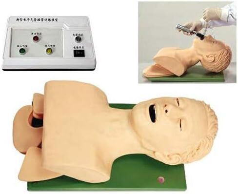 نموذج تعليمي، نموذج مانيكين للتنبيب، مدرب إدارة مجرى الهواء عن طريق الفم والأنف من مادة PVC للبالغين للدراسة وتعليم مختبر العلوم in Kuwait