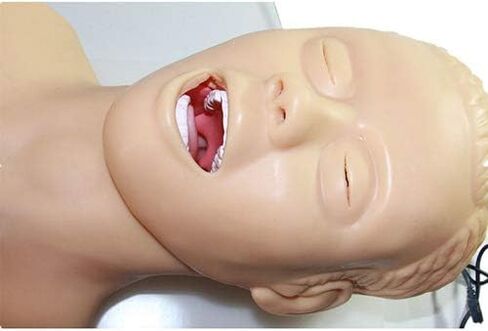 نموذج تعليمي، نموذج مانيكين للتنبيب، مدرب إدارة مجرى الهواء عن طريق الفم والأنف من مادة PVC للبالغين للدراسة وتعليم مختبر العلوم in Kuwait