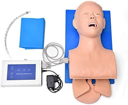 نموذج تعليمي، مدرب إدارة مجرى الهواء، نموذج تدريب على التنبيب الرغامي الإلكتروني لجسم الإنسان، نموذج تعليمي لدراسة رأس التنبيب من مادة PVC للتعليم المدرسي in Kuwait