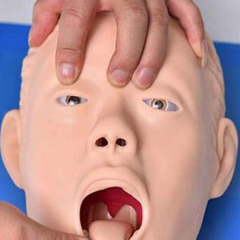 نموذج تعليمي، مدرب إدارة مجرى الهواء، نموذج تدريب على التنبيب الرغامي الإلكتروني لجسم الإنسان، نموذج تعليمي لدراسة رأس التنبيب من مادة PVC للتعليم المدرسي in Kuwait