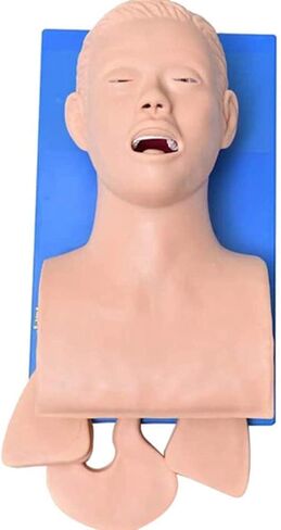 نموذج تعليمي، مدرب إدارة مجرى الهواء، نموذج تدريب على التنبيب الرغامي الإلكتروني لجسم الإنسان، نموذج تعليمي لدراسة رأس التنبيب من مادة PVC للتعليم المدرسي in Kuwait