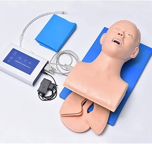 نموذج تعليمي، مدرب إدارة مجرى الهواء، نموذج تدريب على التنبيب الرغامي الإلكتروني لجسم الإنسان، نموذج تعليمي لدراسة رأس التنبيب من مادة PVC للتعليم المدرسي in Kuwait