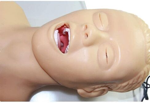 نموذج تعليمي، نموذج تعليمي للتنبيب الأنفي الفموي للبالغين، نموذج تعليمي إلكتروني لإدارة مجرى الهواء، نموذج محاكاة تدريب التنبيب الرغامي in Kuwait