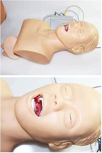 نموذج تعليمي، نموذج تعليمي للتنبيب الأنفي الفموي للبالغين، نموذج تعليمي إلكتروني لإدارة مجرى الهواء، نموذج محاكاة تدريب التنبيب الرغامي in Kuwait