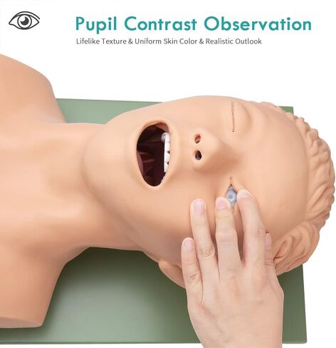 قزم التنبيب الأنفي الفموي PVC مع جهاز تنبيه الأسنان محاكي إدارة مجرى الهواء مدرب تعليم رأس التنبيب، عارضة أزياء للتمريض in Kuwait