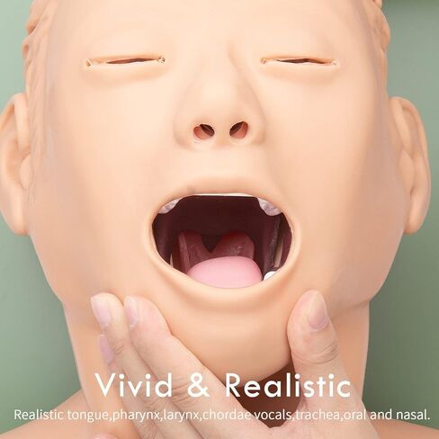 قزم التنبيب الأنفي الفموي PVC مع جهاز تنبيه الأسنان محاكي إدارة مجرى الهواء مدرب تعليم رأس التنبيب، عارضة أزياء للتمريض in Kuwait