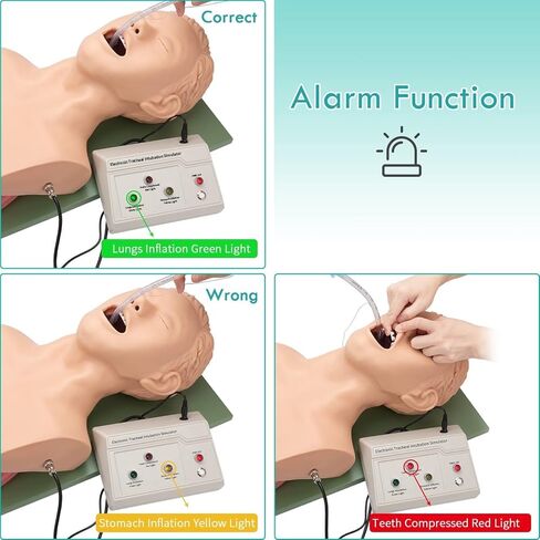 قزم التنبيب الأنفي الفموي PVC مع جهاز تنبيه الأسنان محاكي إدارة مجرى الهواء مدرب تعليم رأس التنبيب، عارضة أزياء للتمريض in Kuwait