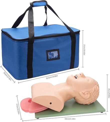 قزم التنبيب الأنفي الفموي PVC مع جهاز تنبيه الأسنان محاكي إدارة مجرى الهواء مدرب تعليم رأس التنبيب، عارضة أزياء للتمريض in Kuwait