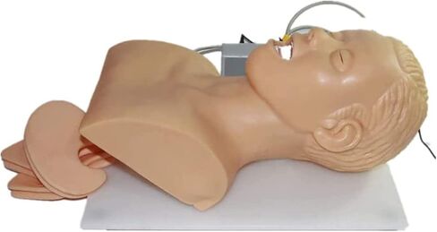 قزم التنبيب الأنفي الفموي PVC مع جهاز تنبيه الأسنان محاكي إدارة مجرى الهواء مدرب تعليم رأس التنبيب، عارضة أزياء للتمريض in Kuwait