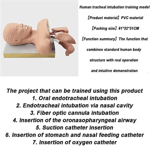 مدرب إدارة مجرى الهواء، نموذج تدريب، نموذج محاكاة تدريب إجهاد التنبيب الرغامي، تمثال التنبيب، نموذج دراسة تعليم رأس التنبيب. in Kuwait
