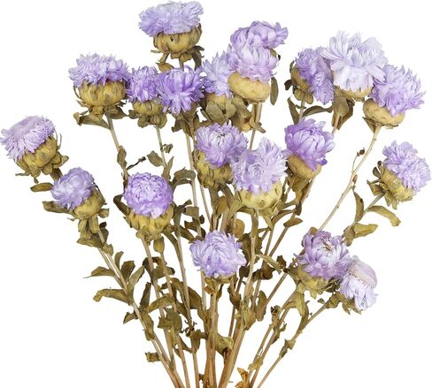 20 pcs طبيعية مجففة الزهور باقة زهرة مجففة زهرة وردي مجفف عباد الشمس المجفف chrysanthemum مع الجذع لزفاف مزرعة الزفاف مزهرية ديكور المنزل DIY ترتيب زهرة in Kuwait
