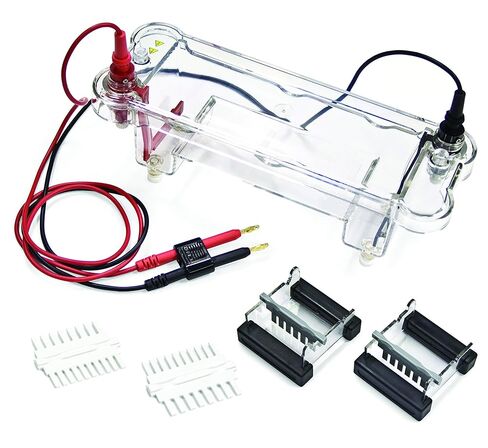 جهاز الترحيل الكهربائي VLE002P من Vision Scientific، 16 عينة لكل جل، صواني صب مقاس 7 × 7 سم، مجموعة تجريبية واحدة in Saudi Arabia