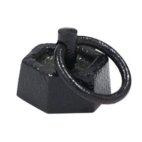 EISCO Iron Masses - Hexagonal with Lifting Ring - 50g in Kuwait