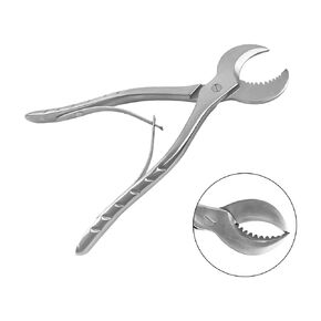 Dental Pliers Plaster Nippers Cutter Dentist Lab Equipment Plaster Scissors Stainless Steel Large in Kuwait