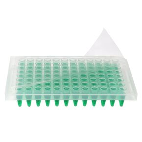 DSC MTC Bio P1001-QPS PureAmp™ qPCR Sealing Film - Optically Clear, Pressure-Sensitive Adhesive Membranes for PCR, qPCR & Elisa - Evaporation Control, Contaminant-Free, 100/Pack in Kuwait
