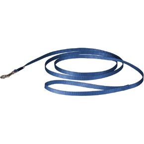 PetSafe Nylon Dog Leash – Strong, Durable, Traditional Style Leash with Easy to Use Bolt Snap for Small, Medium and Large Dogs – 3/8" x 6', Royal Blue in Kuwait