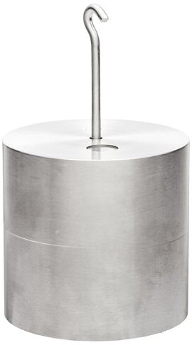 Rice Lake Stainless Steel ASTM Class 6 Hook Metric Individual Test Weight, 1kg Mass in Saudi Arabia