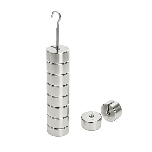 Frcctre Lab Slotted Mass Set, Chromium-Plated Metal Slotted Weights with Hanger and Case, Includes 10 Weights(100g) Total 1000g in Saudi Arabia