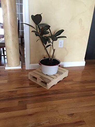 Darla'Studio 66 Decorative Wooden Pallet in Kuwait