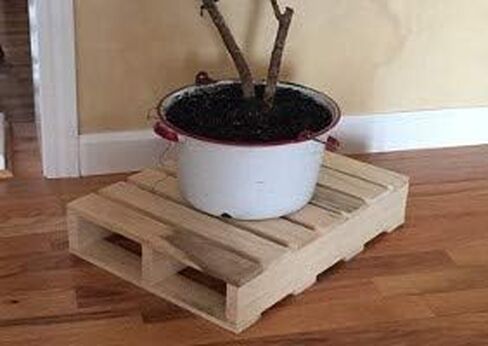 Darla'Studio 66 Decorative Wooden Pallet in Kuwait