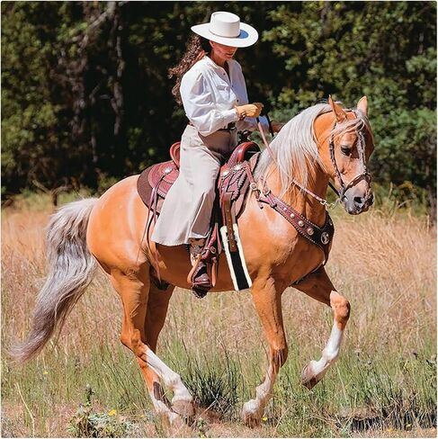 Western Cinch Horse Girth 30" - Soft 25mm Thick Fleece Padding & Non-Slip Nylon Webbing with Stainless Steel Buckles - Comfortable, Durable, and Easy to Install for Western Saddles in Saudi Arabia