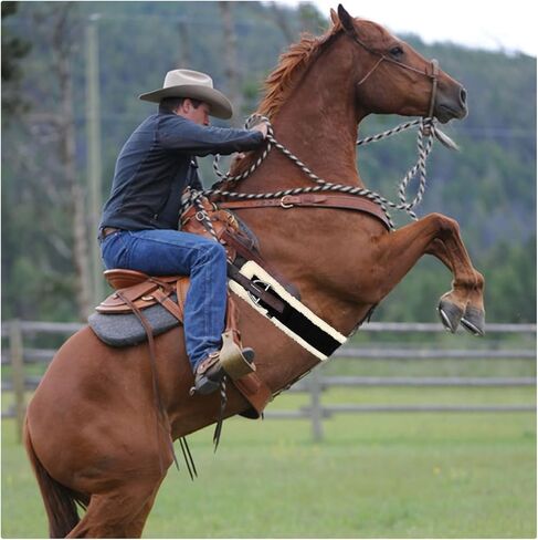 Western Cinch Horse Girth 30" - Soft 25mm Thick Fleece Padding & Non-Slip Nylon Webbing with Stainless Steel Buckles - Comfortable, Durable, and Easy to Install for Western Saddles in Saudi Arabia