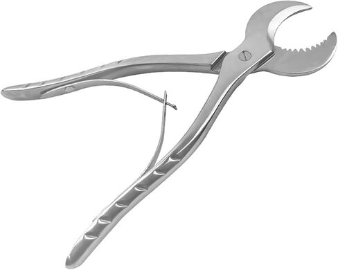 Dental Plaster Scissors Stainless Steel Tweezers Dental Forceps Technician Instruments Small in Kuwait