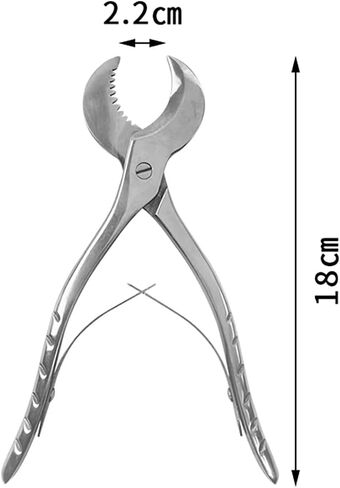 Dental Plaster Scissors Stainless Steel Tweezers Dental Forceps Technician Instruments Small in Kuwait