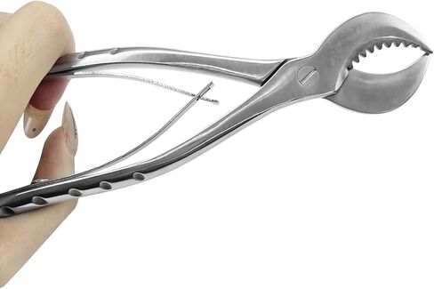 Dental Plaster Scissors Stainless Steel Tweezers Dental Forceps Technician Instruments Small in Kuwait