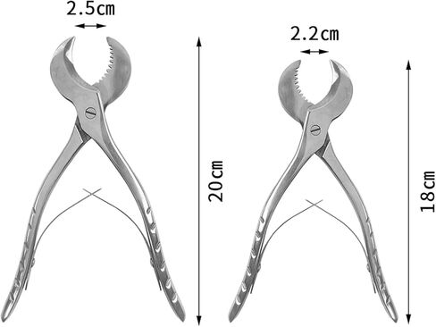 Dental Plaster Scissors Stainless Steel Tweezers Dental Forceps Technician Instruments Small in Kuwait