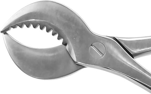 Dental Plaster Scissors Stainless Steel Tweezers Dental Forceps Technician Instruments Small in Kuwait