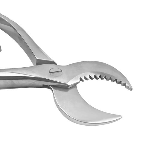 Dental Pliers Plaster Nippers Cutter Dentist Lab Equipment Plaster Scissors Stainless Steel Large in Kuwait