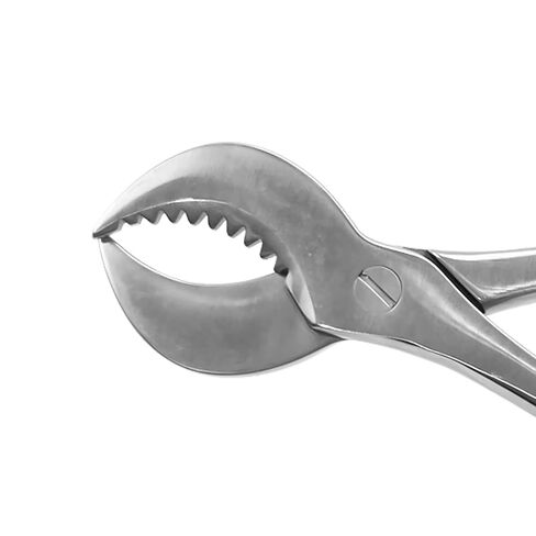 Dental Pliers Plaster Nippers Cutter Dentist Lab Equipment Plaster Scissors Stainless Steel Large in Kuwait