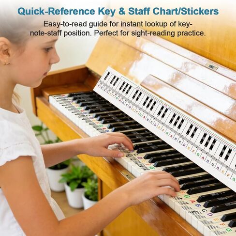 أداة تعلم لوحة مفاتيح البيانو، لوحة المفاتيح ودليل مخطط الملاحظات، ملصقات ملاحظات البيانو، مسطرة تبديل مفتاح البيانو in Kuwait