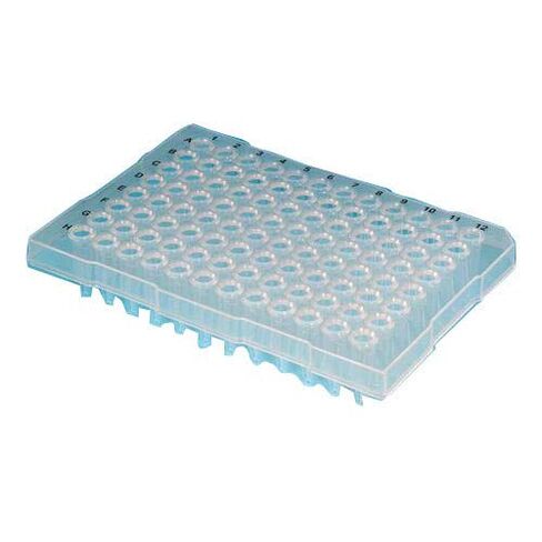 لوحة Thomas PCP096-HS-SP/TH MicroFlex 96-Well PCR، نصف تنورة، حجم 0.2 مل، سطح مسطح، مقطوع عند A12، شفاف (عبوة من 100 قطعة) in Saudi Arabia