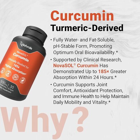 Naturalis NovaSOL Turmeric Curcumin (5,550mg Curcuminoids Equivalent Per Serving) - Clinical Proven with 185X Better Absorption | Antioxidant Support for Brain, Joint & Immune Health* | 30 Servings in Saudi Arabia