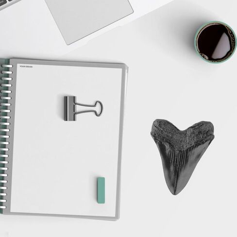 نسخة طبق الأصل من أسنان ميغالودون سمك القرش 3.5 بوصة نسخة طبق الأصل من حفريات أسنان ميغالودون المزيفة لعرض رف الطاولة المنزلي in Kuwait