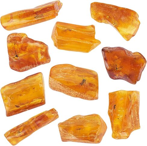 Baltic Amber Natural Fossil Insects,Insects from Millions of Years ago,True Insect Samples-Science Classroom Science Education Animal Specimens (A Amber with Insects Fossils) in Kuwait
