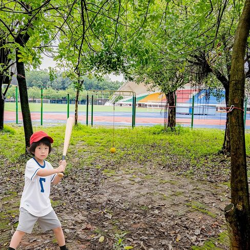 Baseball and Softball Batting Training Rope, Baseball Softball Hitting Trainer Aid,Rope bat Swing Trainer,Baseball and Softball Training Equipment,Develop Better Hitting Skills. in Saudi Arabia