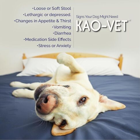سائل كاو فيت المضاد للإسهال للكلاب والجراء (8 أونصة سائلة) - سريع المفعول، تخفيف لطيف للإسهال مع 8% كاولين وكاوبيكتات - اضطراب في المعدة، وشد البراز، وصحة الأمعاء، وتلطيف الانزعاج المعوي in Kuwait