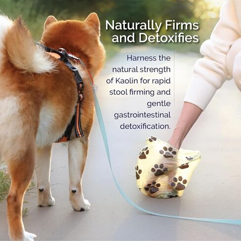 سائل كاو فيت المضاد للإسهال للكلاب والجراء (8 أونصة سائلة) - سريع المفعول، تخفيف لطيف للإسهال مع 8% كاولين وكاوبيكتات - اضطراب في المعدة، وشد البراز، وصحة الأمعاء، وتلطيف الانزعاج المعوي in Kuwait