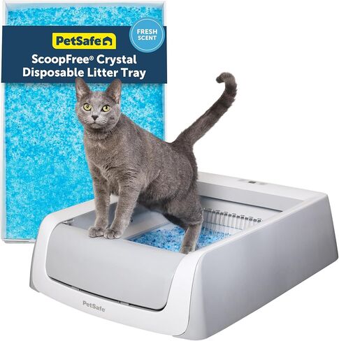 PetSafe Scoop Crystal Pro Automatic Cleaning Cat Cat Box (27.6x19.1x16) ، ويأتي مع 1 صينية القمامة التي يمكن التخلص منها (رمادي) in Kuwait