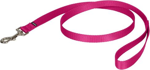 PetSafe Nylon Dog Leash – Strong, Durable, Traditional Style Leash with Easy to Use Bolt Snap for Small, Medium and Large Dogs – 3/8" x 6', Royal Blue in Saudi Arabia