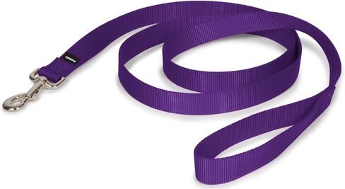 PetSafe Nylon Dog Leash – Strong, Durable, Traditional Style Leash with Easy to Use Bolt Snap for Small, Medium and Large Dogs – 3/8" x 6', Royal Blue in Saudi Arabia