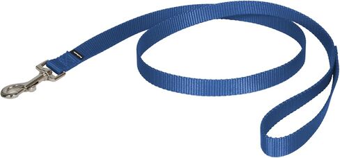 PetSafe Nylon Dog Leash – Strong, Durable, Traditional Style Leash with Easy to Use Bolt Snap for Small, Medium and Large Dogs – 3/8" x 6', Royal Blue in Saudi Arabia